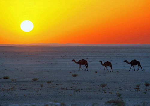 Morocco Sahara Tavel - Desert Sunset - Around the World Morocco Sahara Tavel - Desert Sunset - Around the World