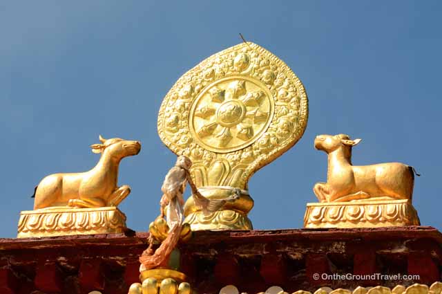 tibet-travel-drepung-monastary