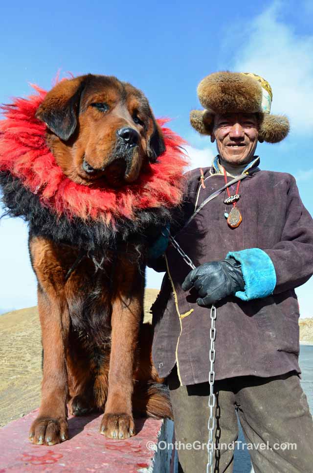 tibet-travel-tibetan-dog-and-tibetan-man