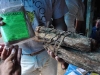 Ayahuasca sold in the Belen Market in Iquitos